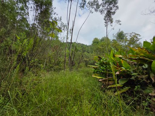 Area de colina com baixa vegetacao