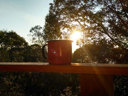 CANECA E LINDO POR DO SOL