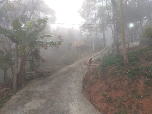 LINDA NEBLINA E NATUREZA