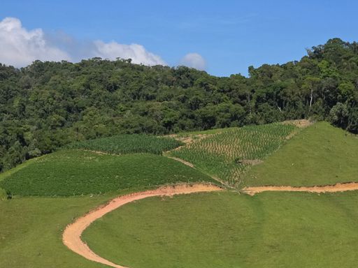 Pastagens com estradas