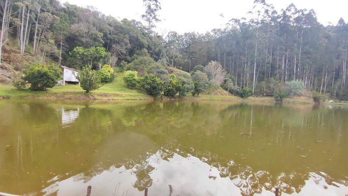 LAGO E POMAR