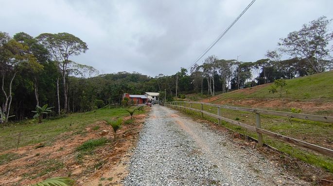 Acesso de cascalho com mata ao lado