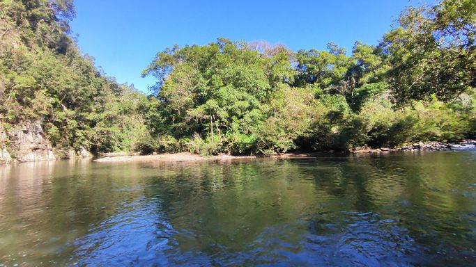 AGUAS CRISTALINAS E BOSQUE