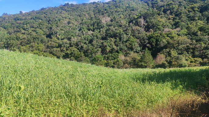 TERRENO PARA PLANTAR E COLINAS AO FUNDO