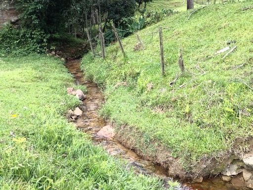 Curso do riacho com pedras