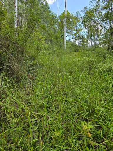 Área pronta para construcao