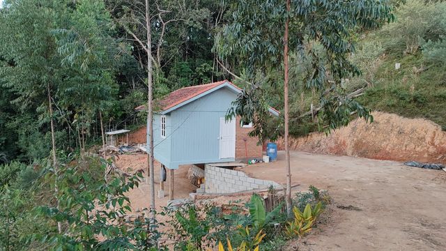 ARVORES E CASA