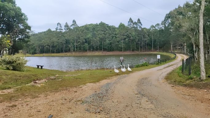 MAIS UM LINDO LAGO DO CONDOMÍNIO