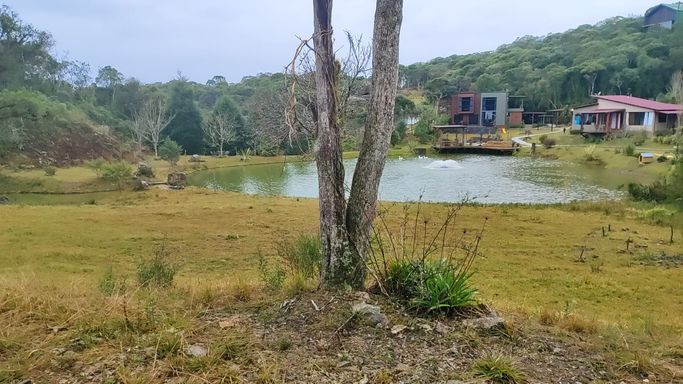 LINDA ARVORE NO GTERRENO E LAGO