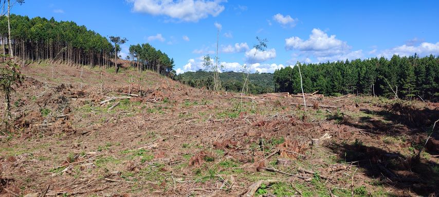AFEA TERRENO LIMPO