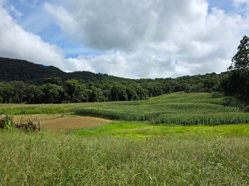 Area plana de cultura