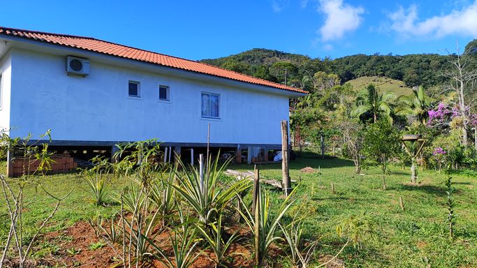 ABACAXI E CASA