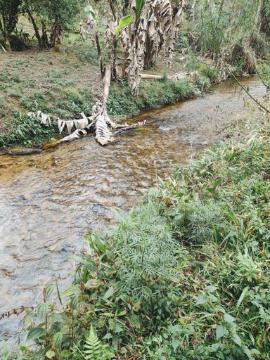 Riacho corta a frente do terreno