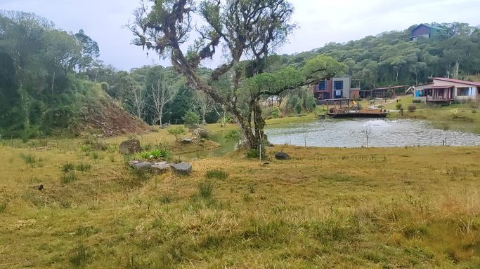 GRAMADO, ARVORE E LAGO