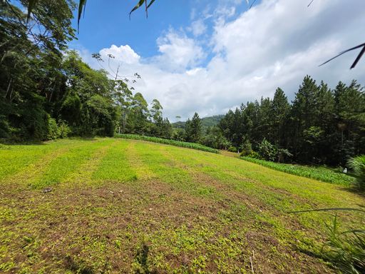 Grande area plana de cultura e roca