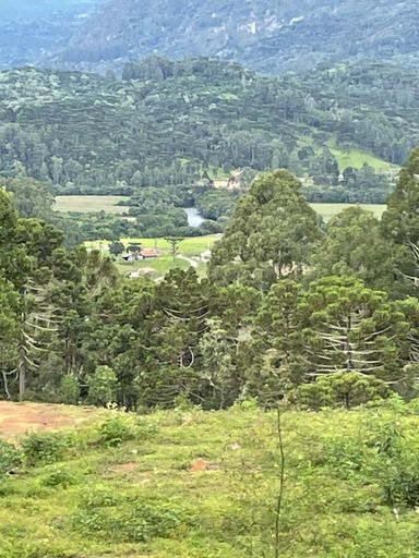 LINDA VISTA E ARAUCARIAS