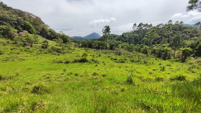 LINDA VISTA