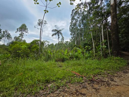 Area plana utilizavel