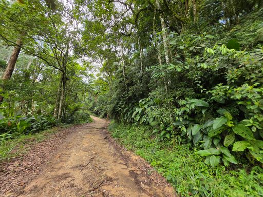 Estrada dentro do sitio