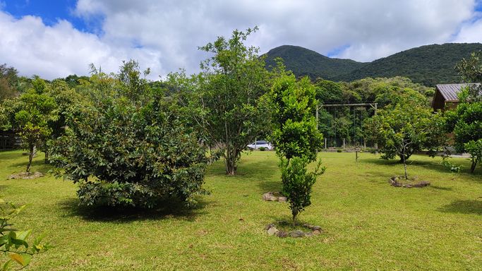 POMAR E  LINDA VISTA