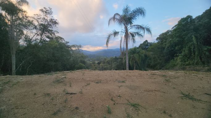 COQUEIRO E CHAO DE CASA