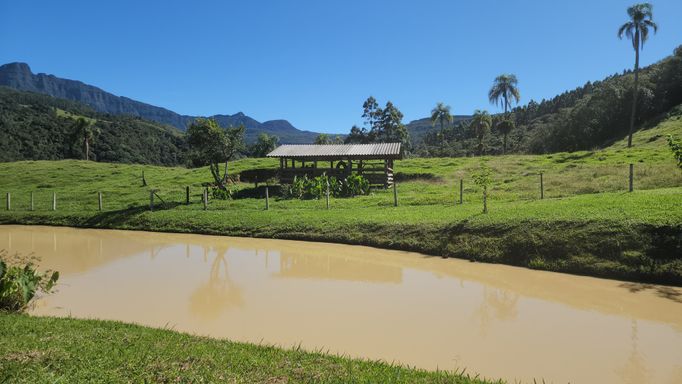 ACUDE A CASA DA VACA
