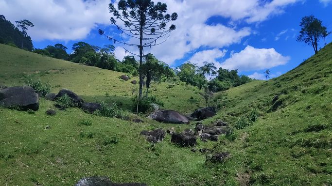 PEDRAS LINDAS E PINHEIRO