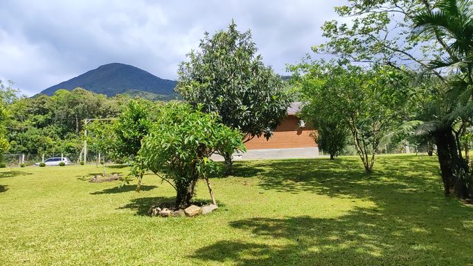 POMAR E LINDA VKISTA PARA AS COLINAS