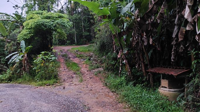 ACESSO A ESTRADA PRINCIPAL E BBOSQUE