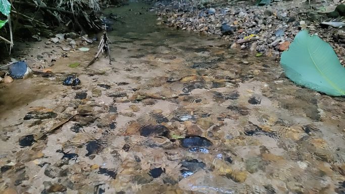 RIACHO COM AGUA CRISTALINA