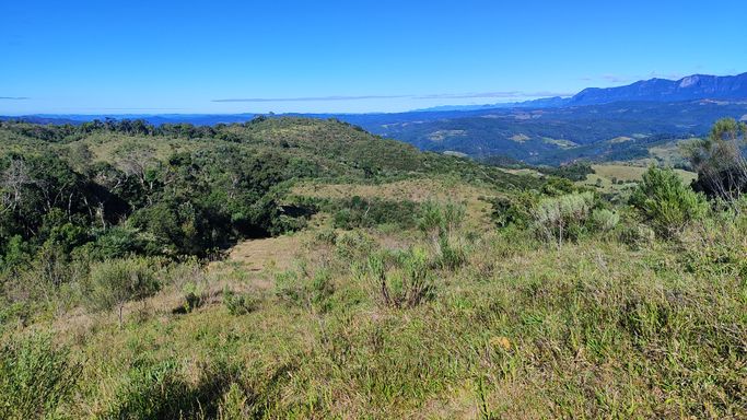PASTAGEM E LINDA VISTA