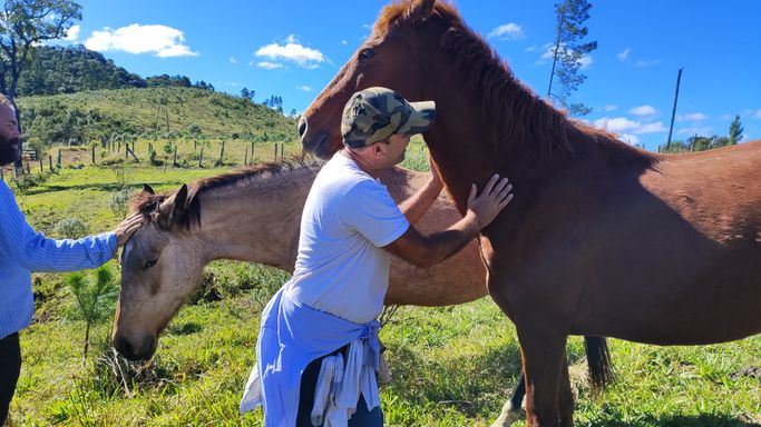 FAZENDO CARINHO NO CAVALO