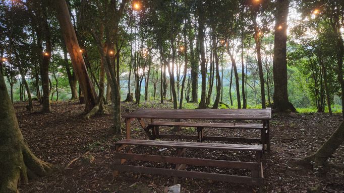 BANCO DE MADEIRA NO BOSQUES