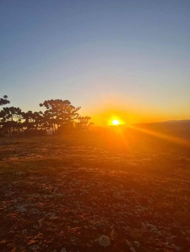 LINDO POR DO  SOL