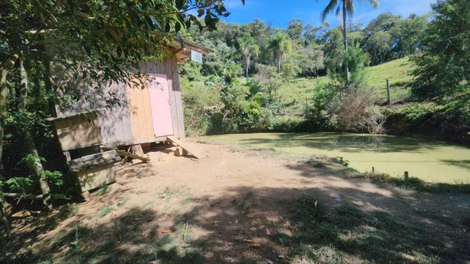 GALINHEIRO