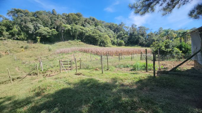 PASTO E TERRA DE PLANTIO