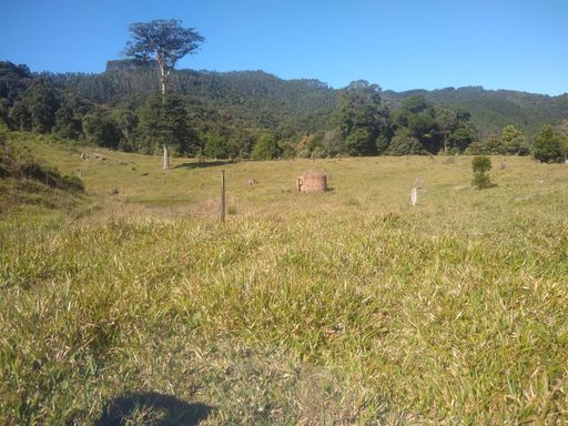 PASTEGEM E BOSQUE