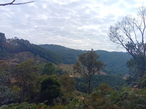 NATUREZA E LINDA VISTA