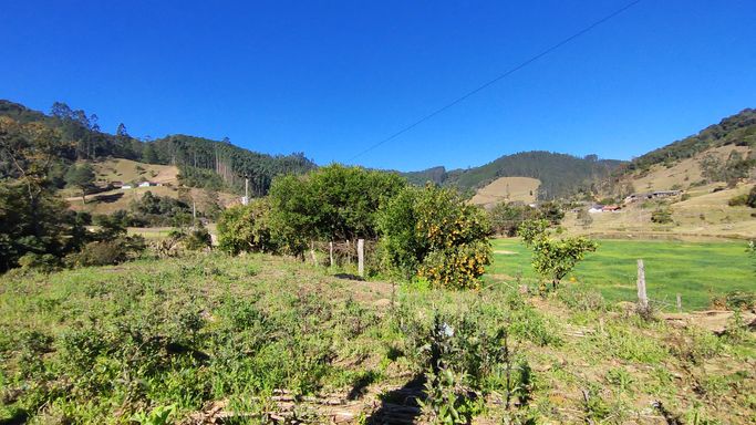 POMAR E LINDA VISTA