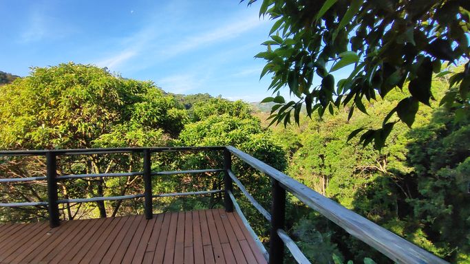 VARANDA E VISTA PARA NATUREZA