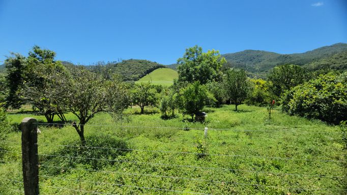 POAMR AMPLO E PRODUZINDO