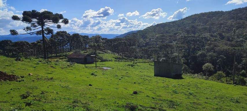PASTO E GALPAOO