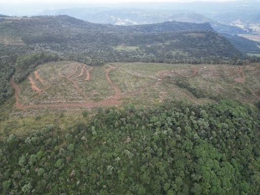 AREA LIMPA E CERCADA PELO VERDE