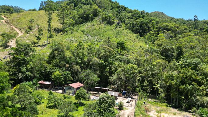 LINDO POMAR E GALINHEIROS