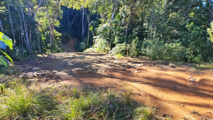 TERRENO E BOSQUE EM AGUAS MORNAS - SC