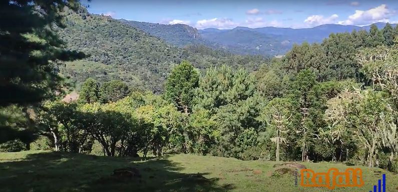 PASTAGEM E VISTA