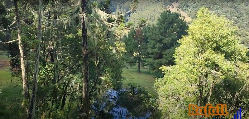 NATUREZA
