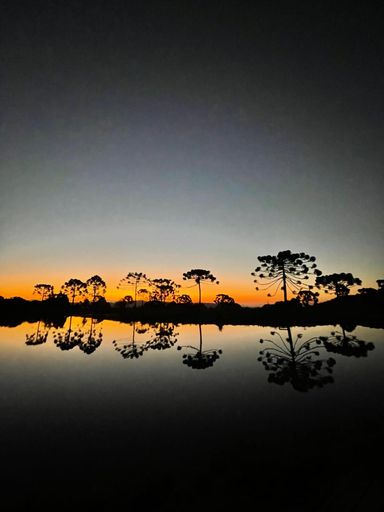LAGO, POR DO SOL E LINDAS ARAUCARIAS