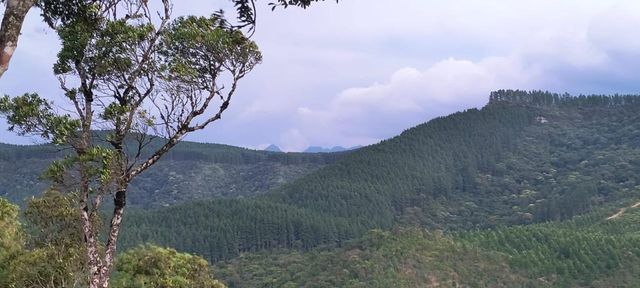 Natureza