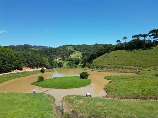 ECUDE E PASTAGEM LINDA...